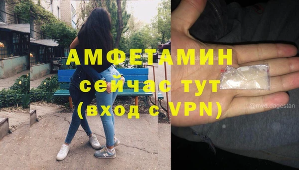 ГАЛЛЮЦИНОГЕННЫЕ ГРИБЫ Гусь-Хрустальный