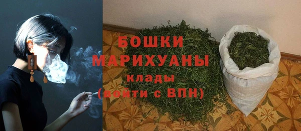 крисы Дмитровск