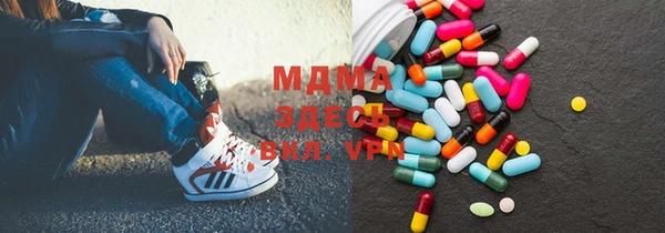 индика Гусев